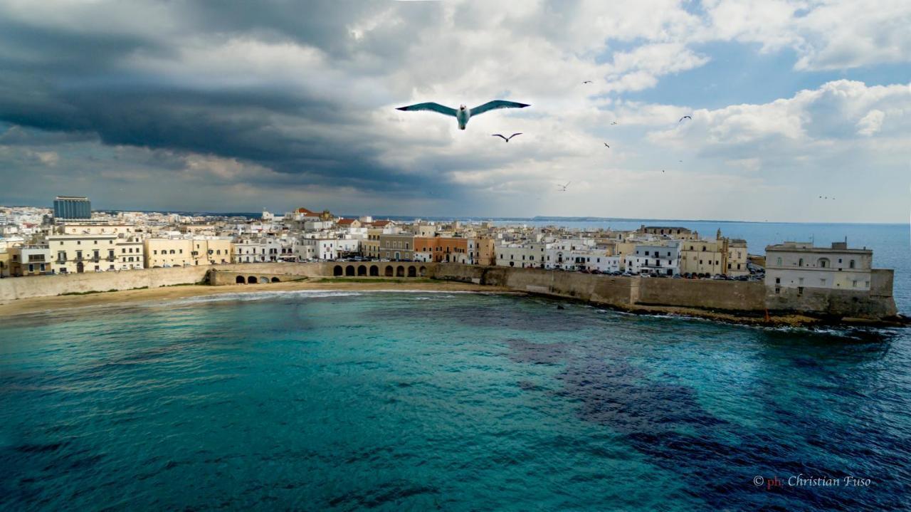 Ventidimaregallipoli Exterior photo